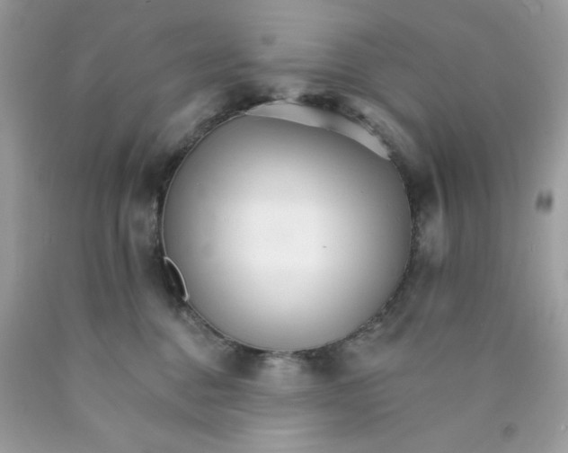 X0000089940376200707201909
