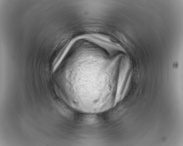 X0000089940377200707201909