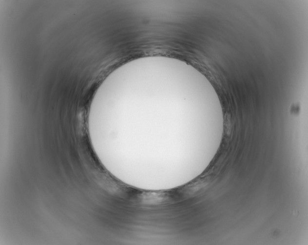 X0000089940378200707201909