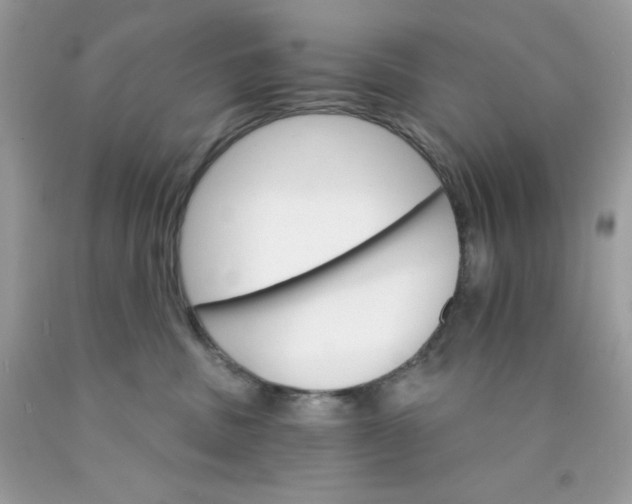 X0000089940379200707201909