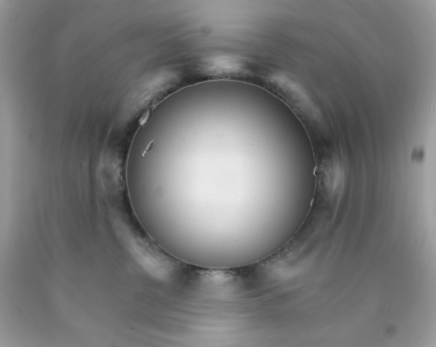 X0000089940380200707201909
