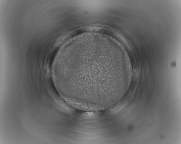 X0000089940381200707201909