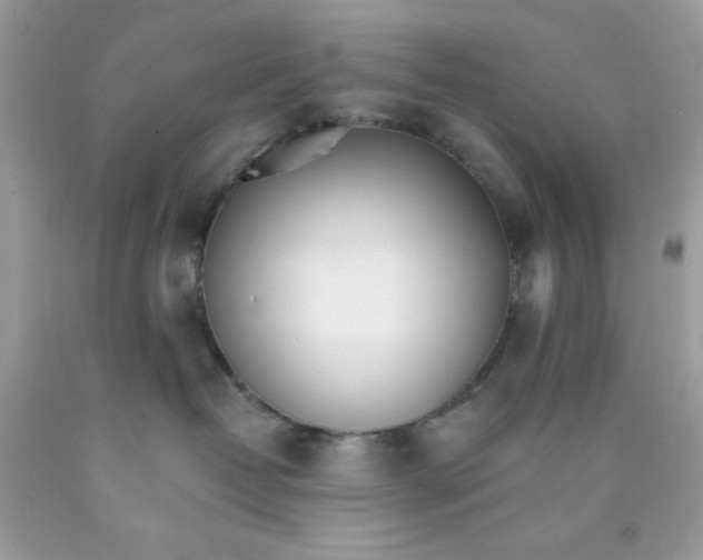 X0000089940382200707201909