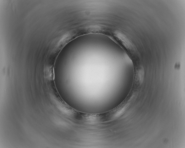 X0000089940383200707201909