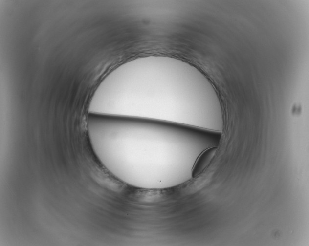 X0000089940384200707201909