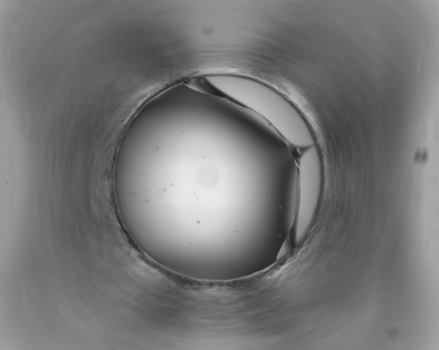 X0000089940385200707201908