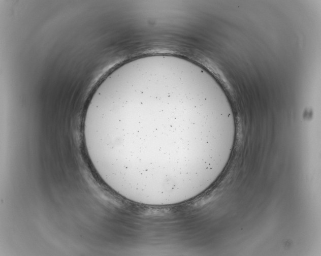 X0000089940386200707201908
