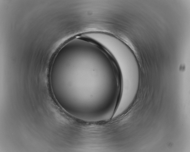 X0000089940387200707201908