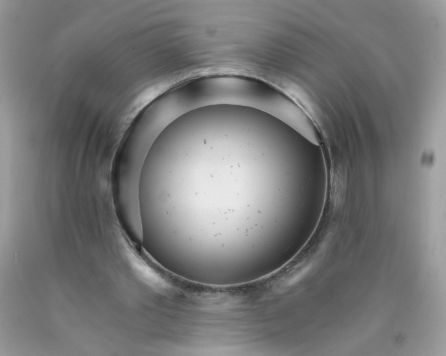 X0000089940389200707201908