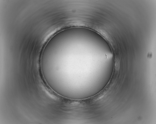 X0000089940390200707201908