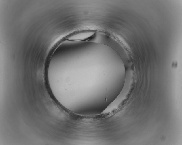 X0000089940391200707201908