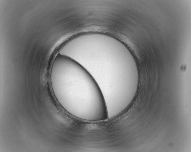 X0000089940392200707201908