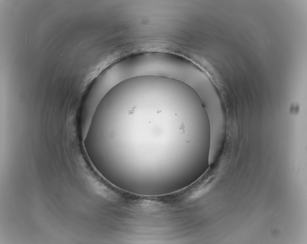 X0000089940393200707201908