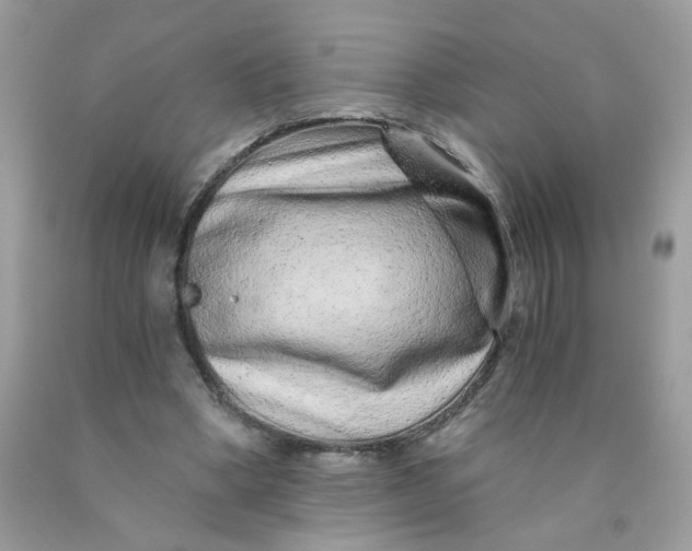 X0000089940394200707201908