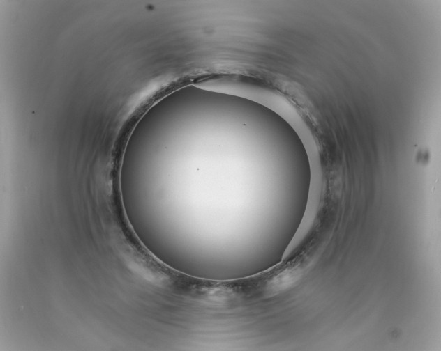 X0000089940395200707201908