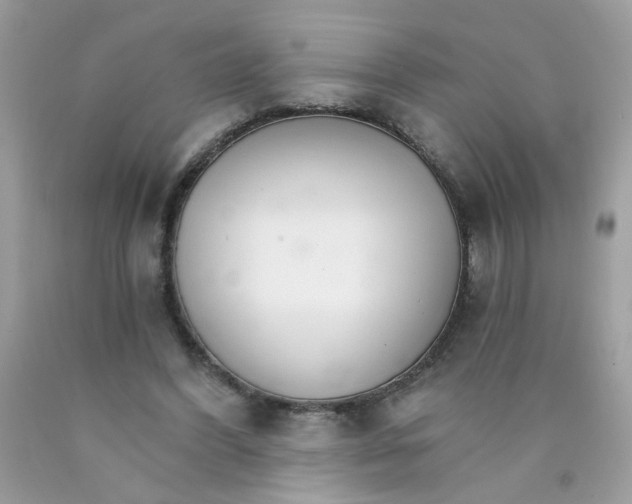 X0000089940396200707201908