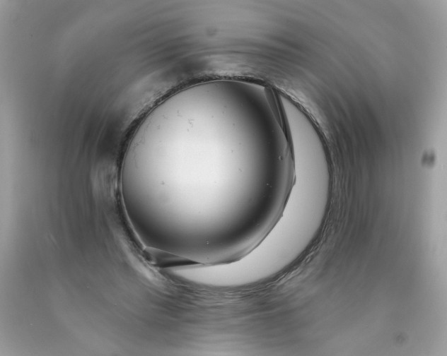X0000089940397200707201908