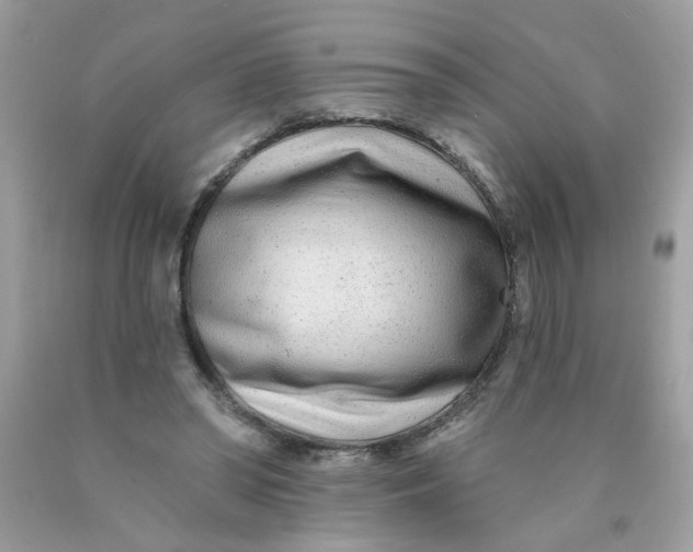 X0000089940398200707201908