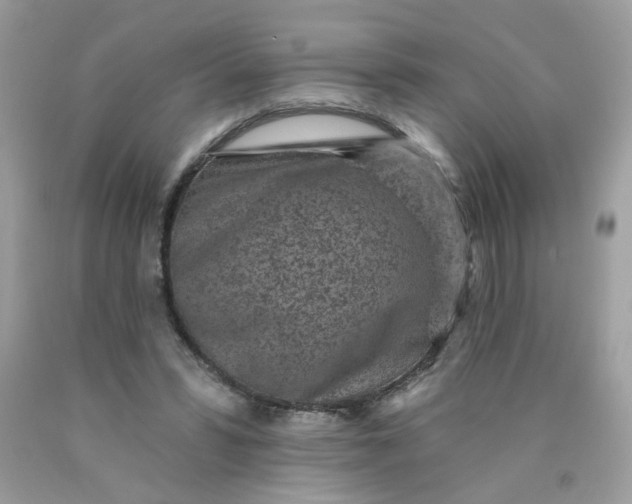 X0000089940399200707201908