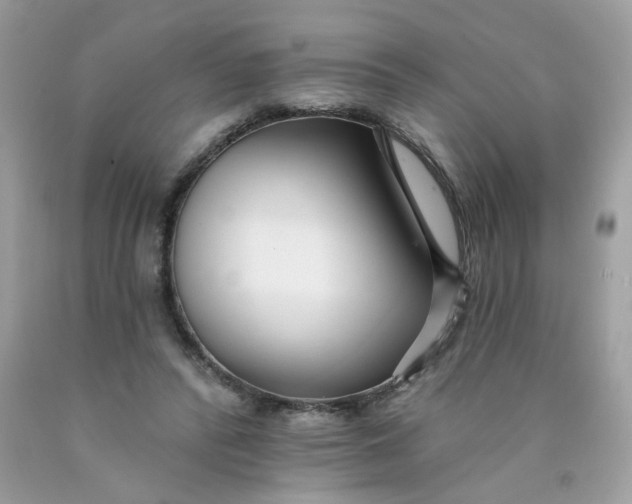 X0000089940400200707201908