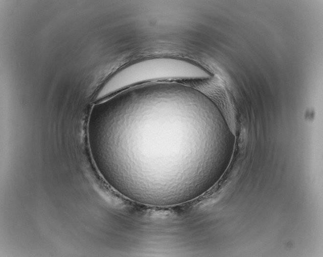 X0000089940401200707201908