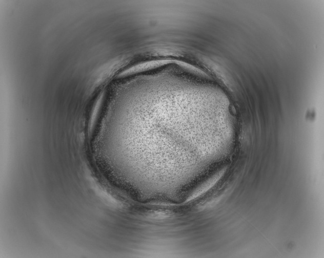 X0000089940402200707201908