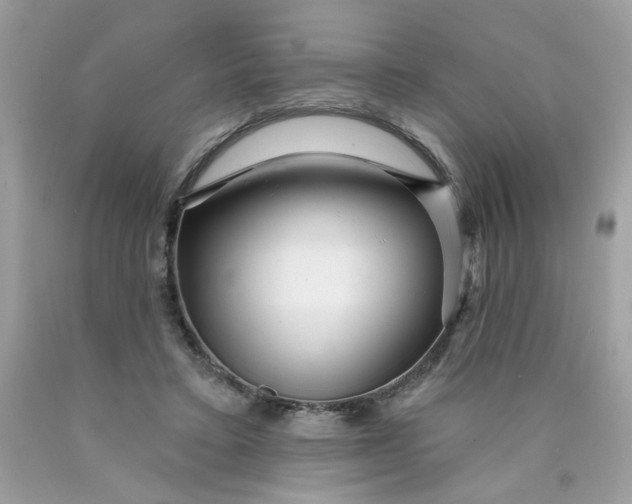 X0000089940403200707201908