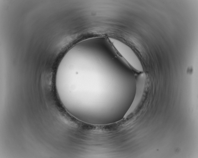 X0000089940404200707201908