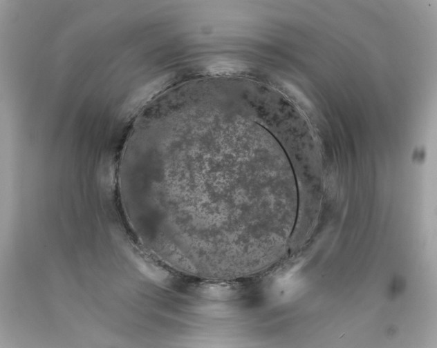 X0000089940405200707201908