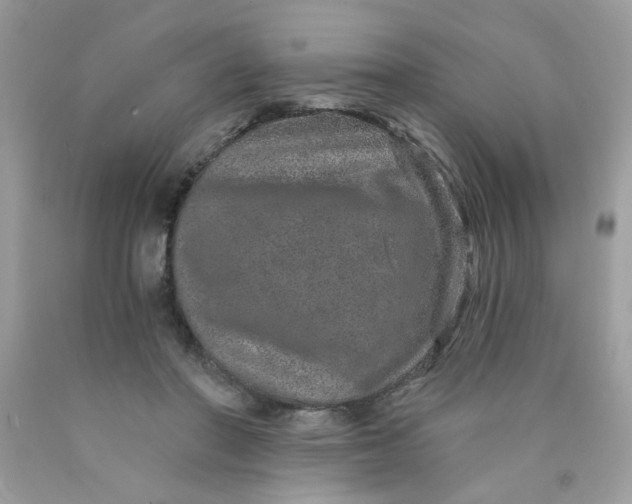 X0000089940406200707201908