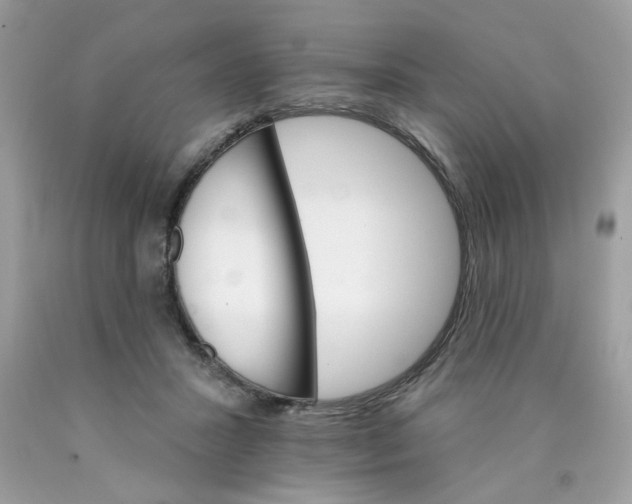 X0000089940407200707201908