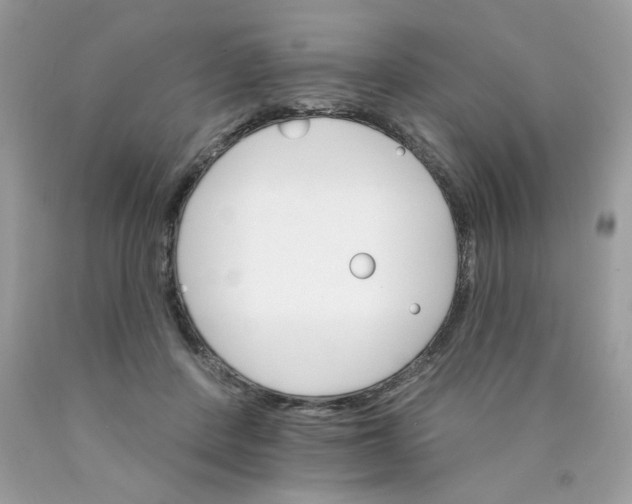 X0000089940408200707201908