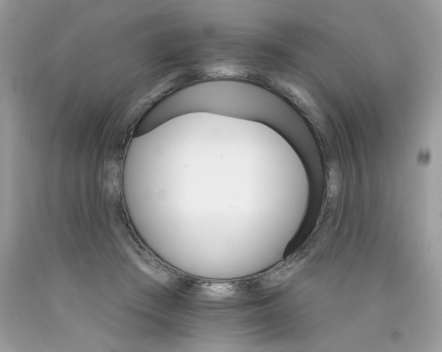 X0000089940409200707201908