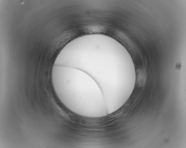 X0000089940410200707201908