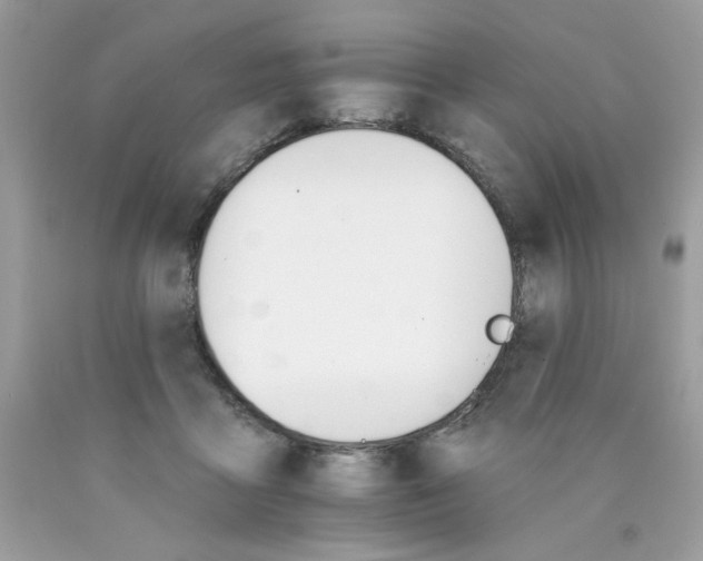 X0000089940411200707201907