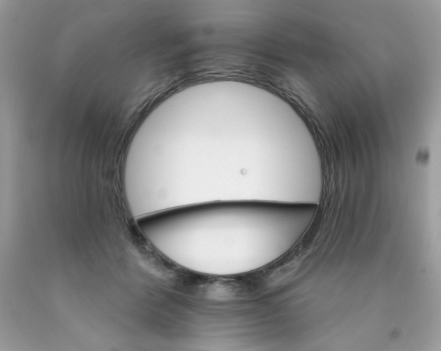 X0000089940412200707201907