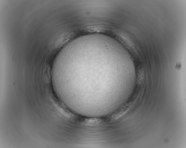 X0000089940414200707201907