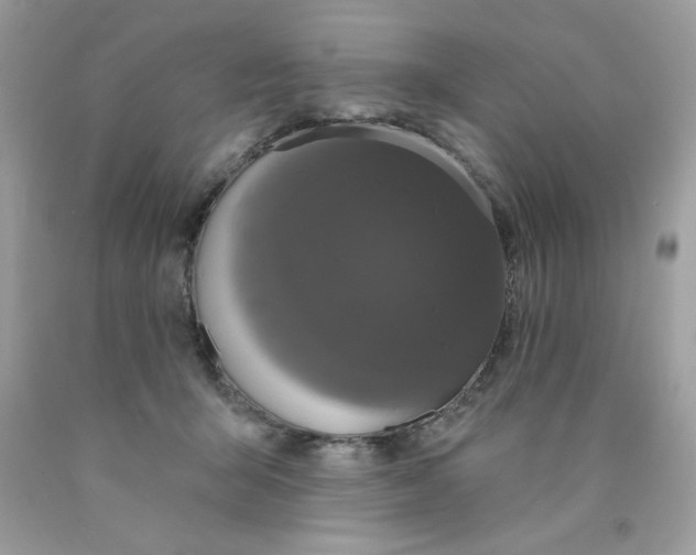 X0000089940415200707201907