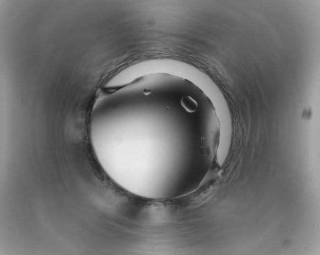 X0000089940416200707201907