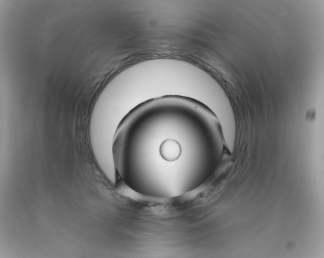 X0000089940417200707201907