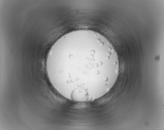 X0000089940418200707201907