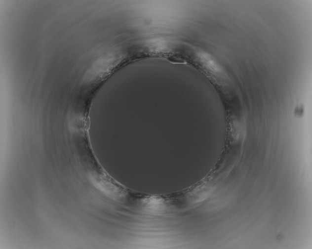 X0000089940419200707201907