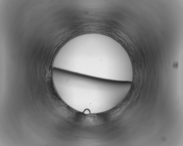 X0000089940420200707201907