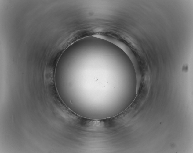 X0000089940421200707201907