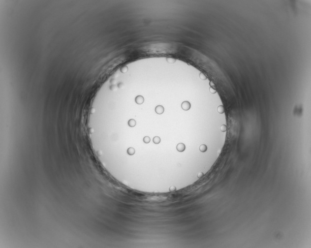 X0000089940422200707201907