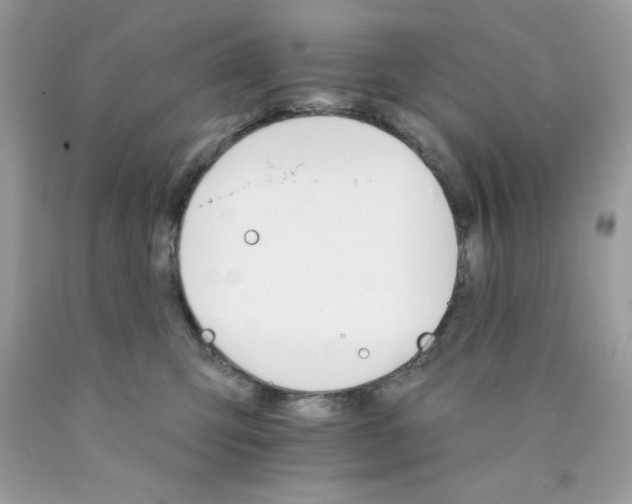 X0000089940423200707201907