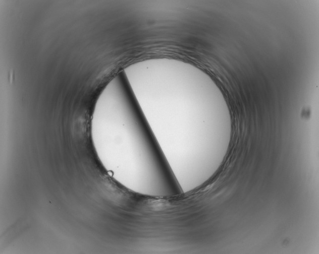 X0000089940424200707201907