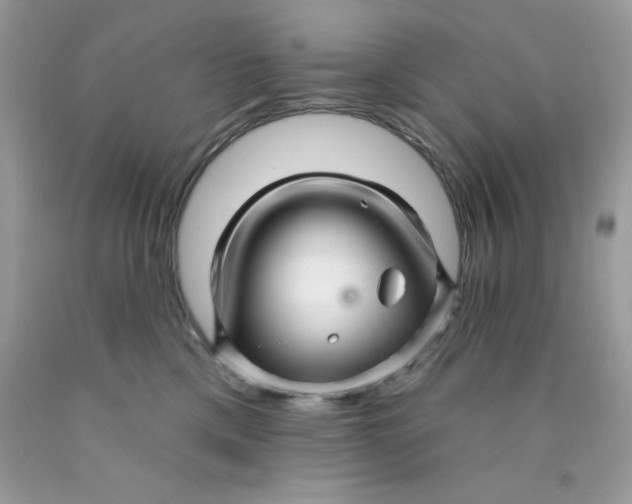 X0000089940425200707201907