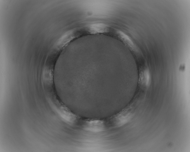 X0000089940426200707201907