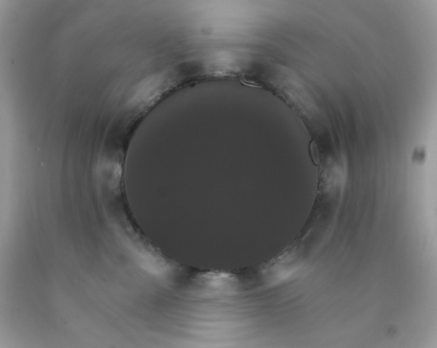 X0000089940427200707201907